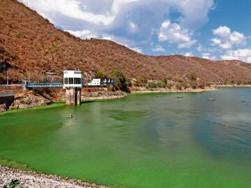 Presa Vicente Guerrero ya está al 31 % de su nivel; promedio estatal se encuentra en el 70 %