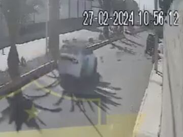 Acuerdan sanción para trabajador del Medio Ambiente que atropelló a un perrito en Pachuca