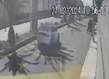 Acuerdan sanción para trabajador del Medio Ambiente que atropelló a un perrito en Pachuca