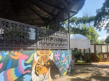 Zoológico de Tulancingo estrena cafetería y fortalece su oferta turística