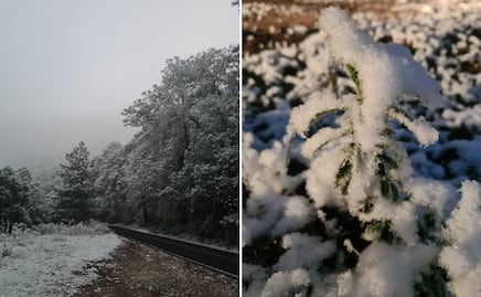 Frente ártico provoca nevadas y suspensión de clases en Hidalgo