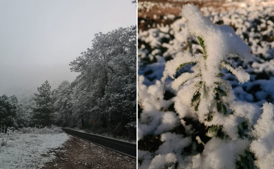 Esta es la segunda ocasión en que se registra caída de aguanieve en municipios de la región de la Sierra Gorda, pues en febrero de 2022, en los municipios de Jacala de Ledezma, Zimapán y Chapulhuacán, cayó aguanieve.