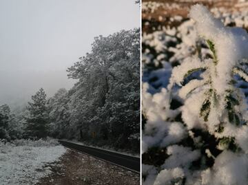 Frente ártico provoca nevadas y suspensión de clases en Hidalgo