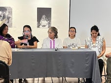 Ambientalistas exigen frenar siete parques fotovoltaicos en el Altiplano de Hidalgo