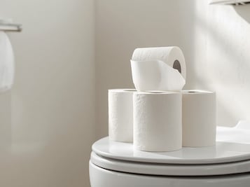 ¿Dónde se debe depositar?; este es el lugar correcto para tirar el papel de baño, según la UNAM