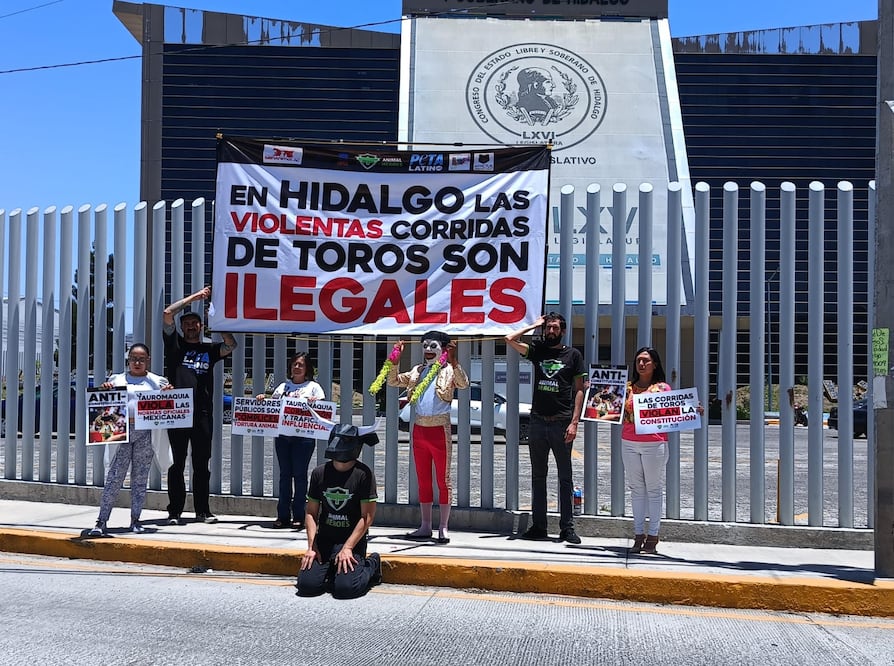 Los activistas hicieron un performance afuera del Congreso contra las corridas de toros | Foto: Lourdes Naranjo