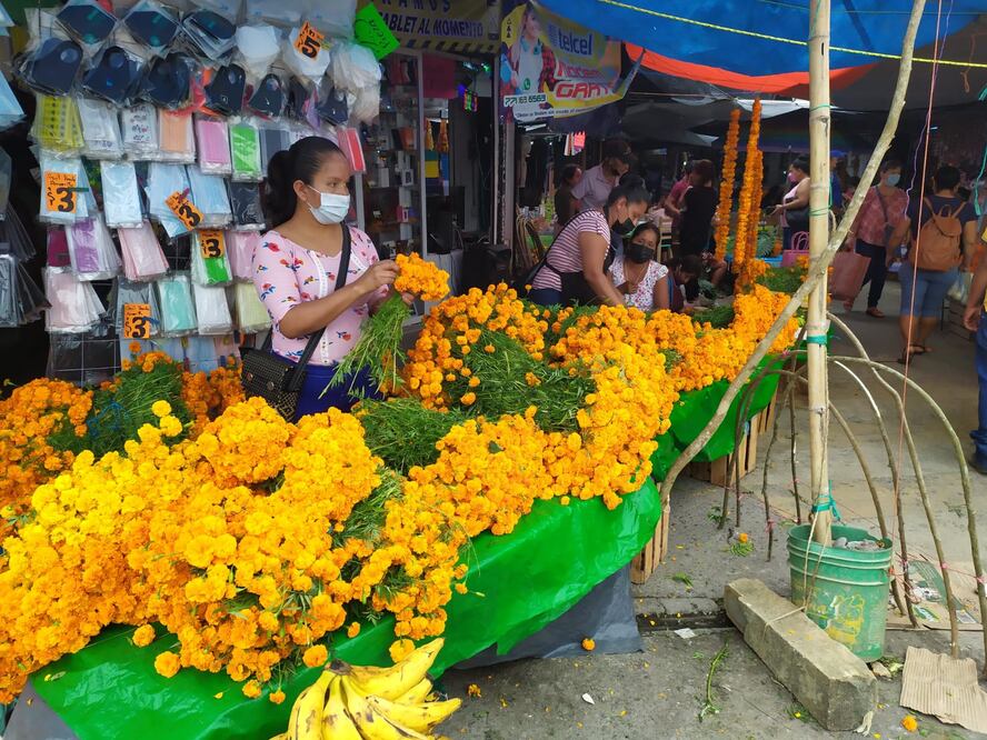 11 vehículos realizan la recolección de basura en colonias y comunidades de Huejutla | Foto: Francisco Bautista