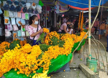Huejutla generará hasta 120 toneladas de basura durante Xantolo