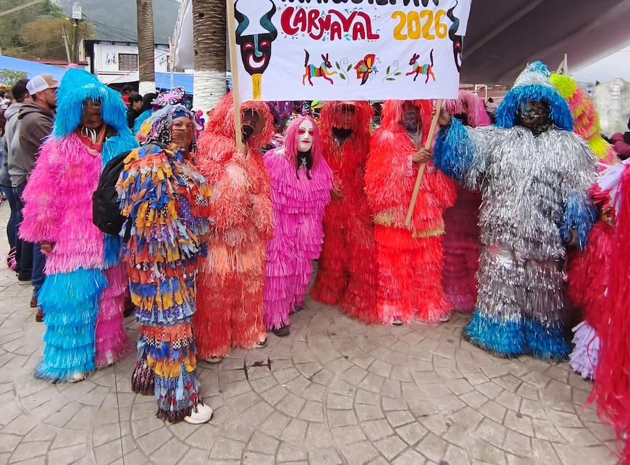 ¡Inician los Carnavales en Tenango de Doria! Foto: especial
