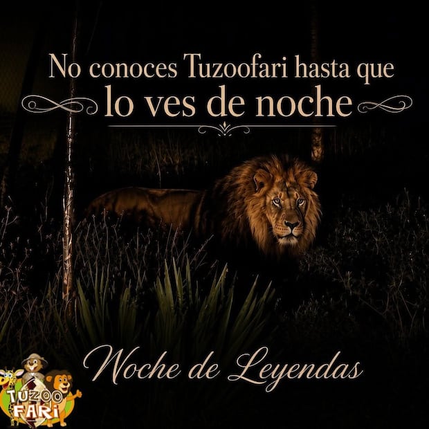 Tuzoofari prepara safari nocturno con leyendas y especies bajo la luna | Facebook: Tuzoofari Oficial