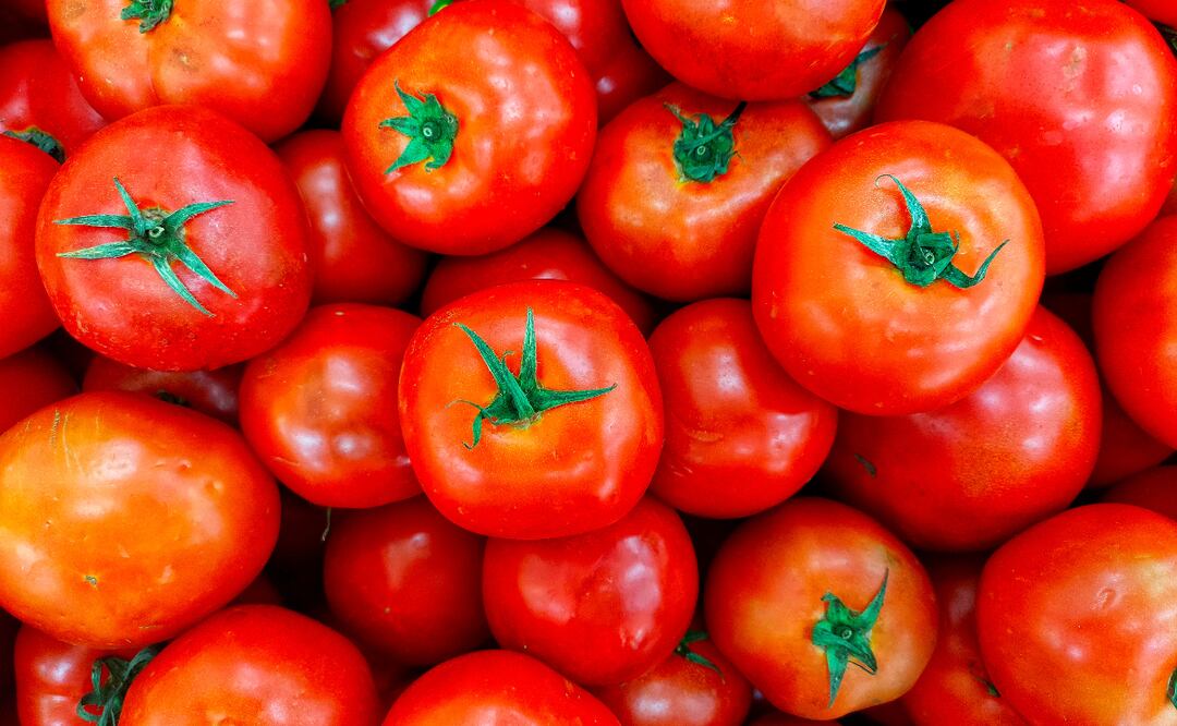 En Metepec preparan el festival de la Jitomatiza Foto: Ilustrativa