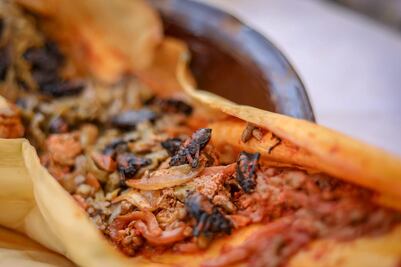 Muestra Gastronómica de Santiago de Anaya: La flora y fauna de una región semiárida endulza el paladar con más de mil platillos