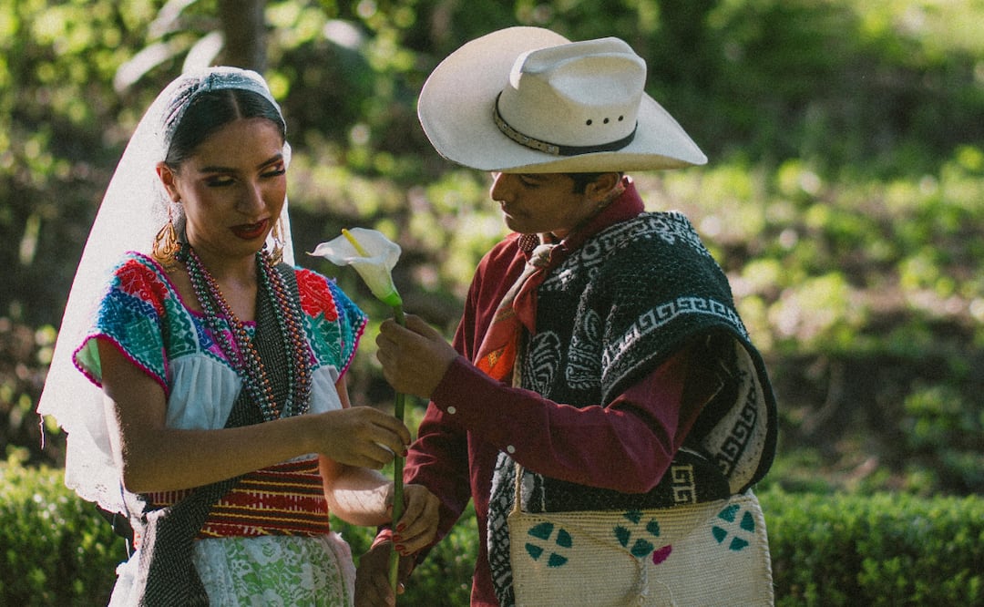 Apoya al campo hidalguense y consume local | Foto: Pexels