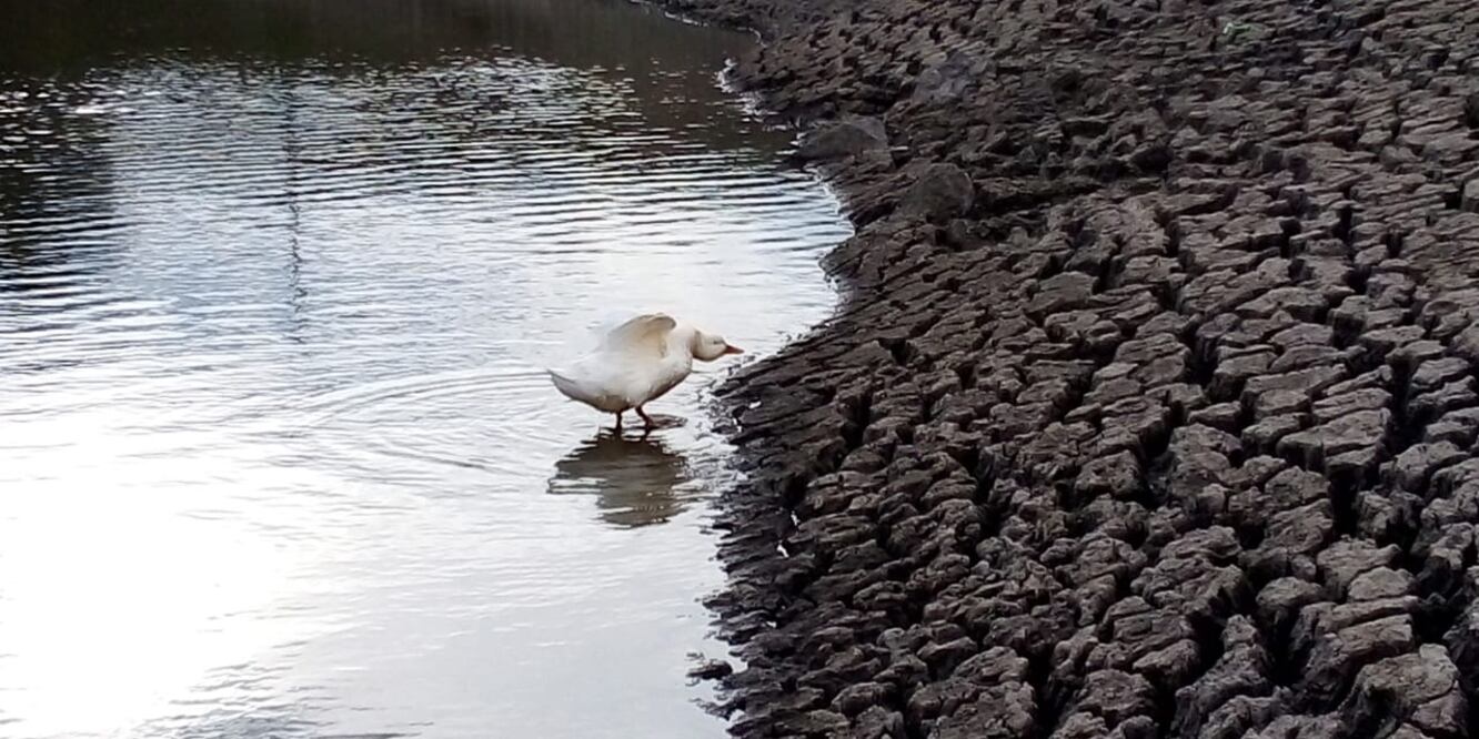 La temporada de lluvias, se atrasó dejando sin el abasto de agua potable a cientos de personas de 8 barrios altos de la capital | Fotos: Arturo Torres