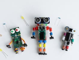 Juventudes hidalguenses en Rumania representando el calibre STEM mexicano