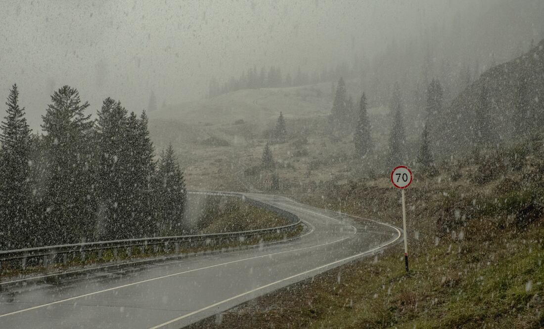 ¡Mantente informado! Foto: Pexels