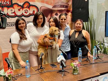 En ocho colonias se detecta  el mayor número de perros y gatos en situación de calle en Pachuca