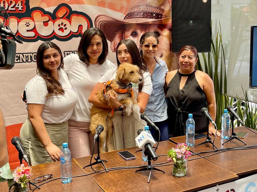 Foto: Marco Carrillo