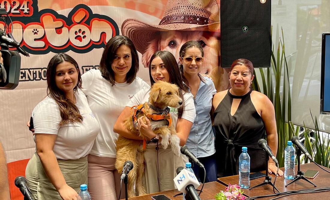 Foto: Marco Carrillo