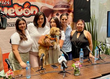 En ocho colonias se detecta el mayor número de perros y gatos en situación de calle en Pachuca