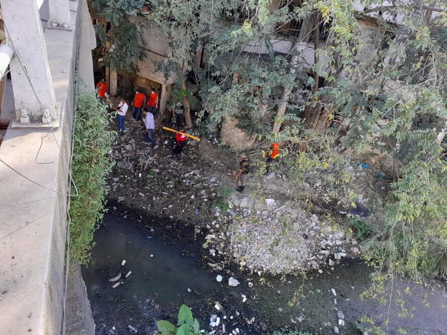 Entre las aguas negras se encuentran, tortugas galápagos y japonesas que se han adaptado a vivir en este afluente contaminado | Foto: Especial