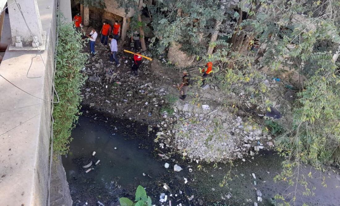 Entre las aguas negras se encuentran, tortugas galápagos y japonesas que se han adaptado a vivir en este afluente contaminado | Foto: Especial