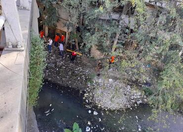 Ambientalistas y comerciantes rescatan tortugas de aguas negras