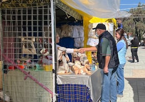 Hasta mil pesos cuesta a pachuqueños mantener tradición de Niños Dios