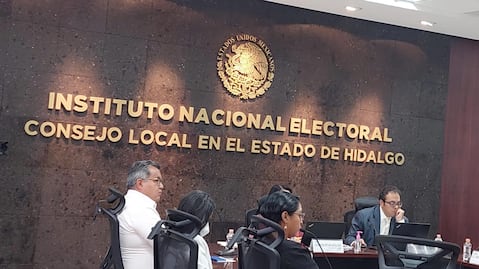 INE declara improcedente petición de Carolina Viggiano