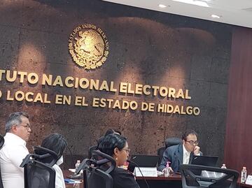 INE declara improcedente petición de Carolina Viggiano