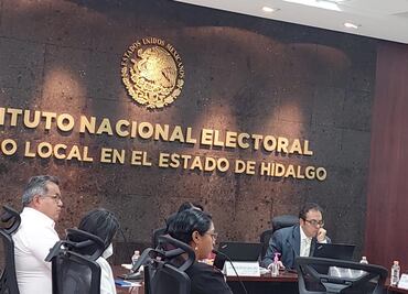 INE declara improcedente petición de Carolina Viggiano