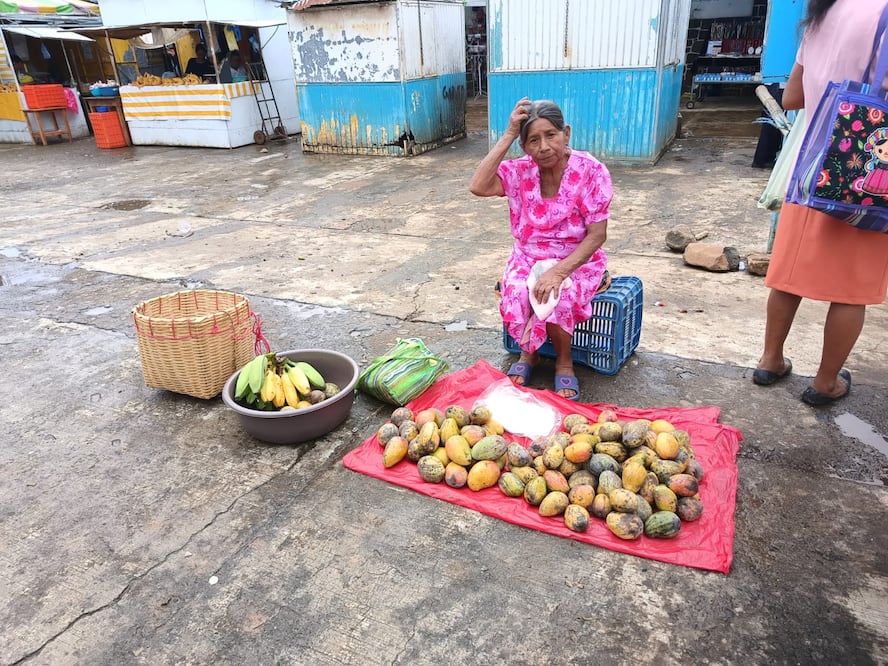En esta temporada la abundancia de mango genera que su precio este muy bajo, pues se ponen a la venta 3 mangos de cualquier especie por 10 pesos. I Foto: Francisco Bautista