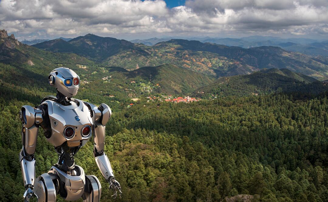 Según la IA en las zonas boscosas de Hidalgo se registran las temperaturas más bajas del estado I Foto: ilustrativa