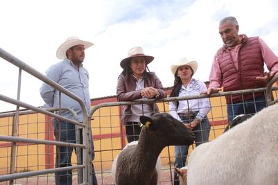 Indispensable mejorar la calidad de vida en el campo: Simey Olvera