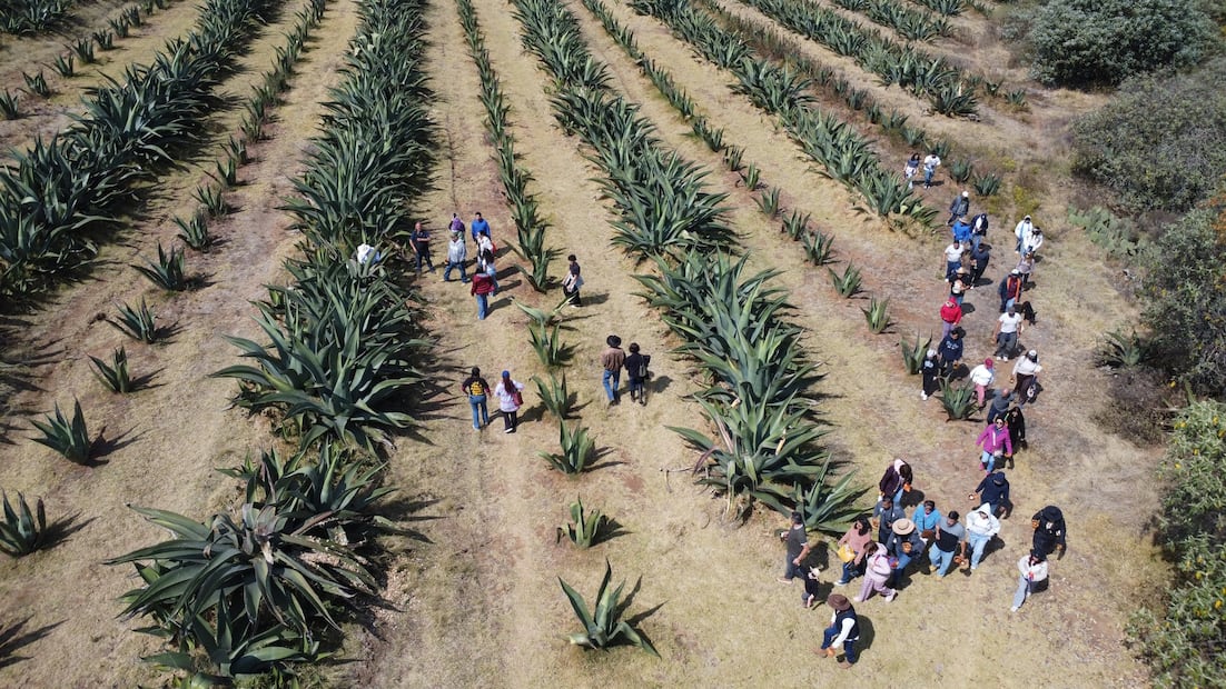 Singuilucan resguarda una experiencia pulquera con sabor a historia | Facebook: Rancho La Gaspareña