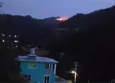 Brigadistas combaten incendio forestal en Tepalzingo, Tulancingo