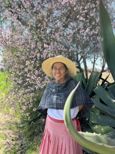 Sin dedos en una de sus manos, doña Porfiria logró ser una de las mejores cocineras tradicionales de México | Foto: Cortesía