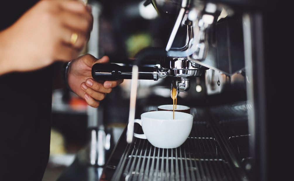 Zoológico Municipal de Tulancingo estrena cafetería y fortalece su oferta turística | Foto: Pexels