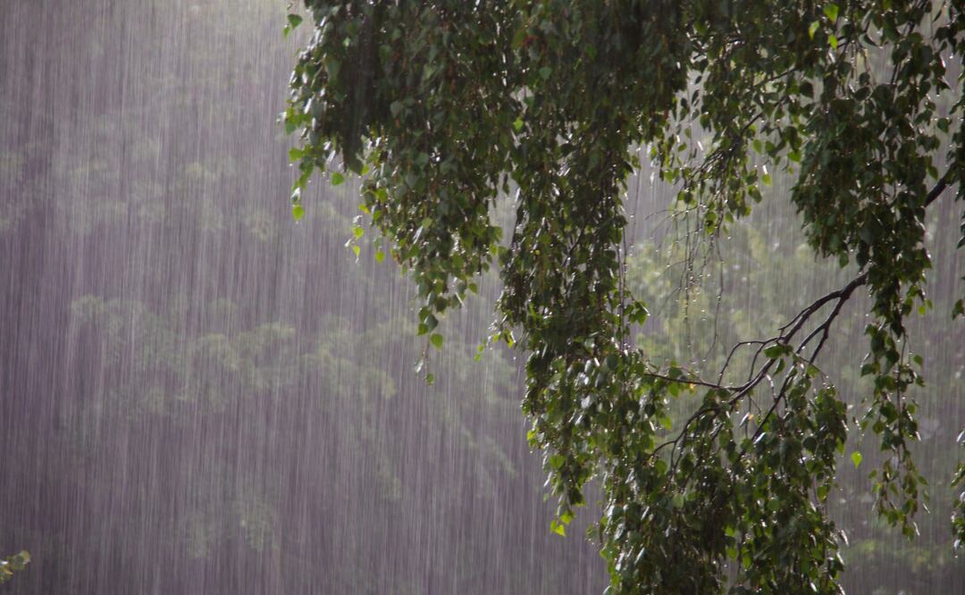 Según el Monitor de de Sequía, al 30 de junio Hidalgo no presentaba condiciones de sequía | Imagen ilustrativa