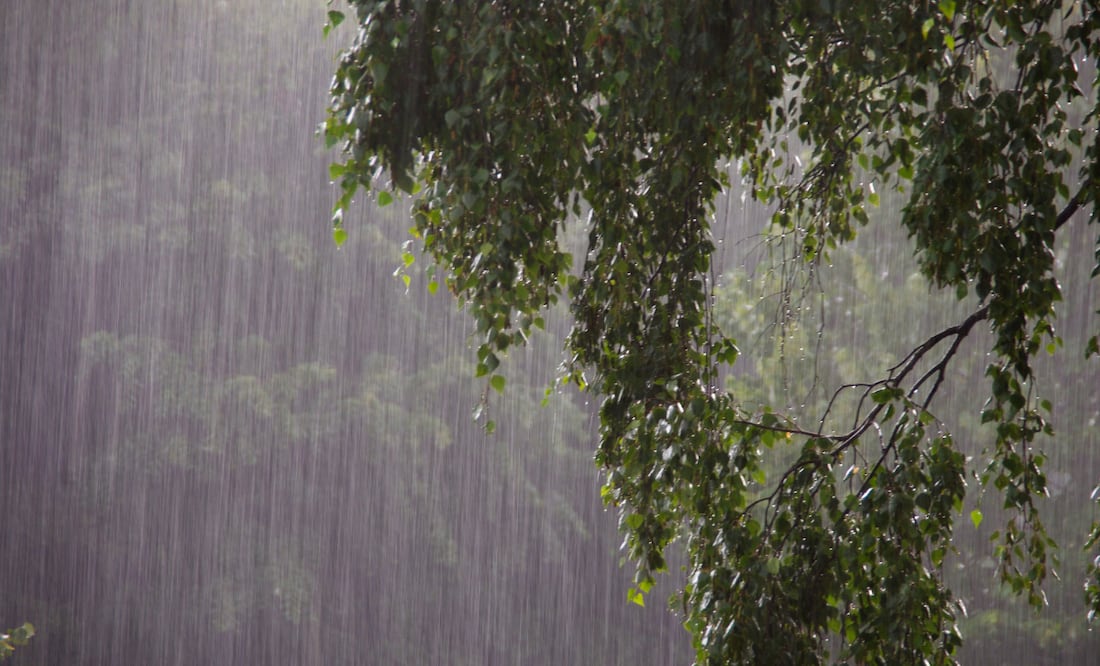 Según el Monitor de de Sequía, al 30 de junio Hidalgo no presentaba condiciones de sequía | Imagen ilustrativa