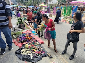 Cientos de fieles católicos asisten a bendición de palmas en la Huasteca