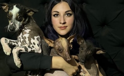 Proponen declarar al xoloitzcuintle como patrimonio biocultural de México