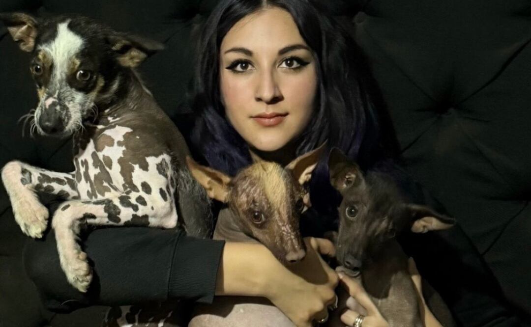 El xoloitzcuintle podría convertirse en patrimonio biocultural de México | Foto: UAEH