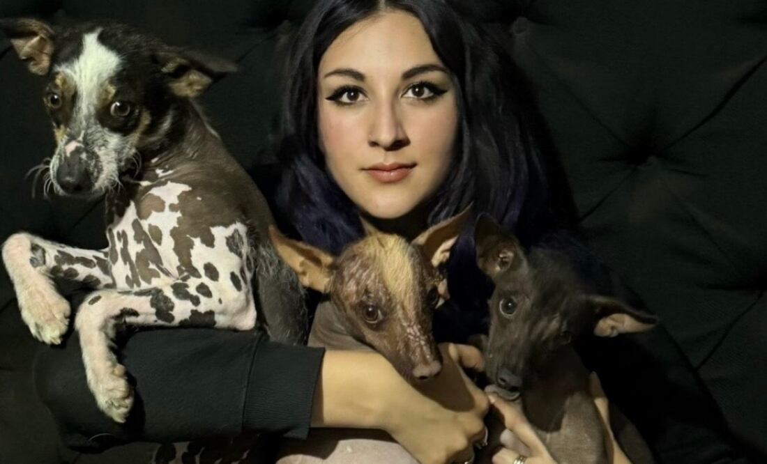 El xoloitzcuintle podría convertirse en patrimonio biocultural de México | Foto: UAEH