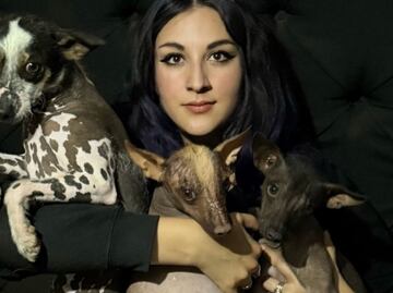 Proponen declarar al xoloitzcuintle como patrimonio biocultural de México