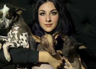 Proponen declarar al xoloitzcuintle como patrimonio biocultural de México