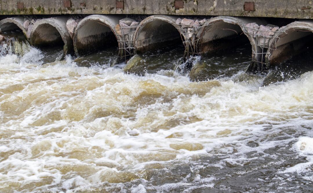 En septiembre se prevé la declaración de restauración ecológica en la región Tula-Tepej | Foto: Getty Images