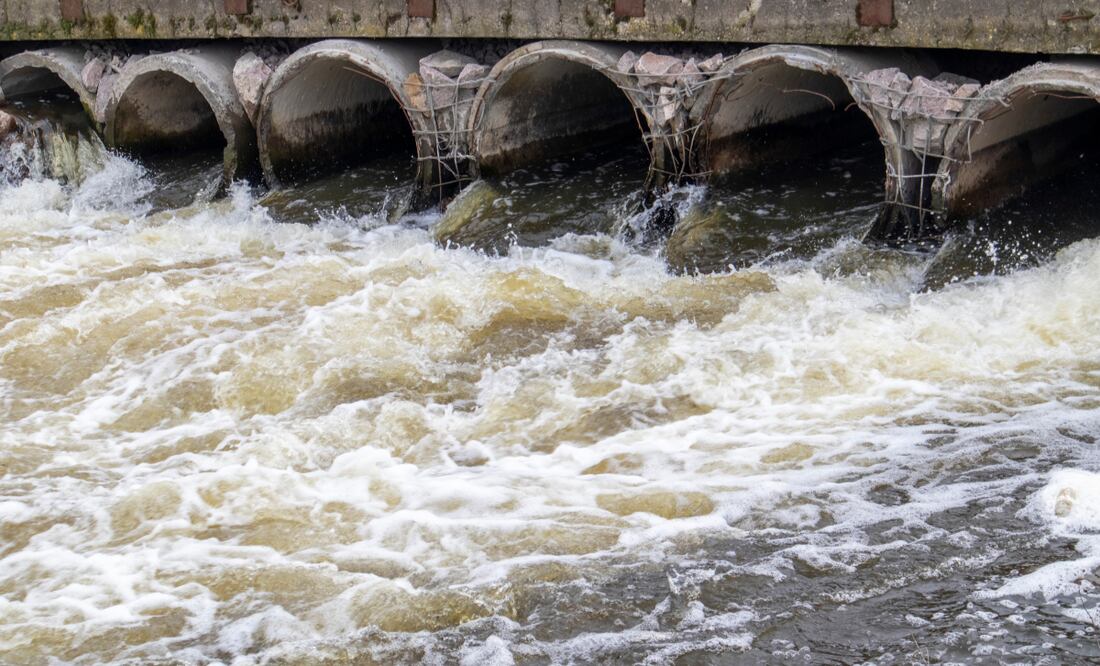 En septiembre se prevé la declaración de restauración ecológica en la región Tula-Tepej | Foto: Getty Images