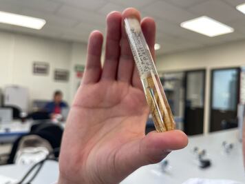 A través de insectos, peritos forenses resuelven casos