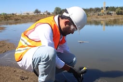 UTEC consigue financiamiento nacional para investigar cómo remover metales pesados del agua 